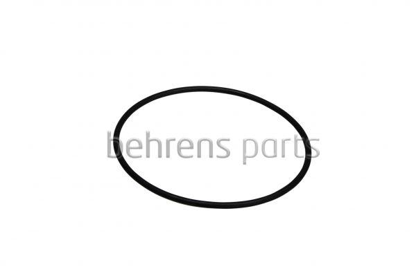 o-ring_h0003400_bel-h00023.jpg