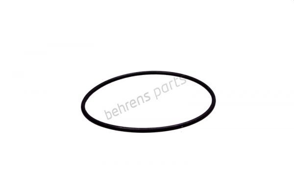 o-ring_fuer_lbehaelter_mbb_2009743_mbb-h00095_re.jpg o-ring_fuer_lbehaelter_mbb_2009743_mbb-h00095_re.jpg